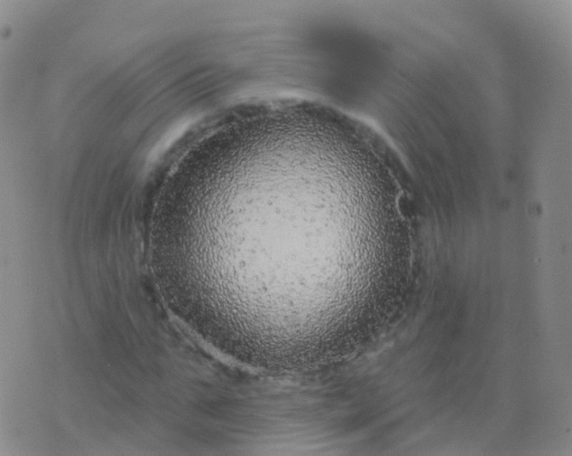 X0000076420871200610202217