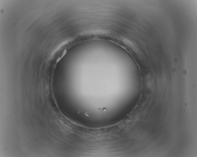 X0000076420872200610202217