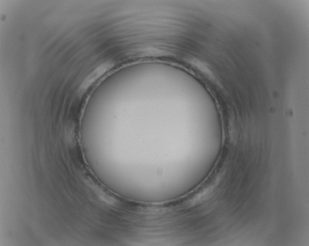 X0000076420873200610202217