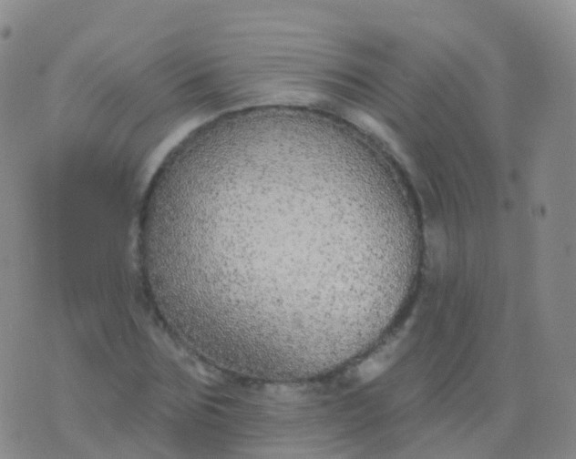 X0000076420875200610202217