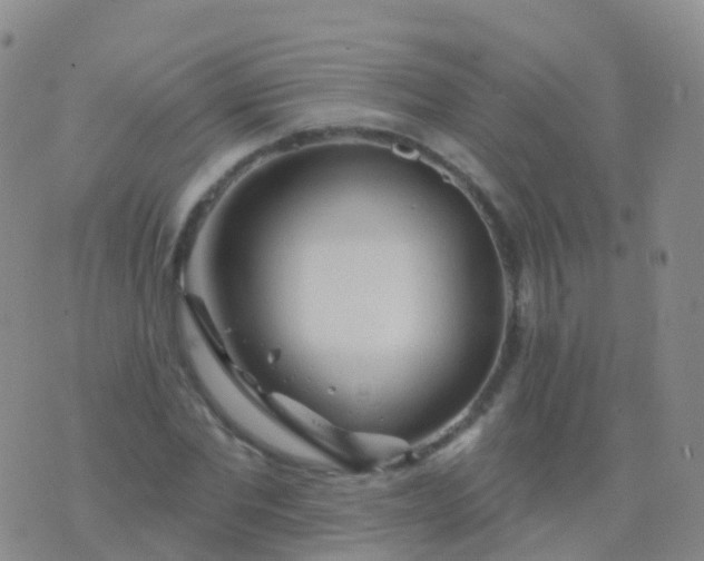 X0000076420877200610202217