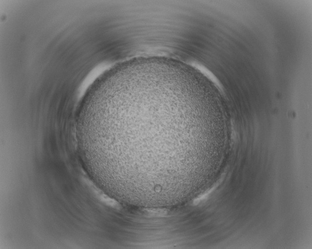 X0000076420878200610202217