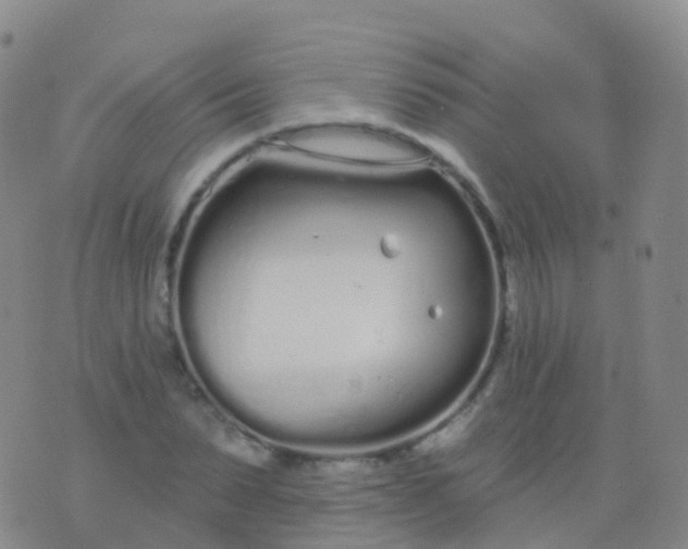 X0000076420879200610202217