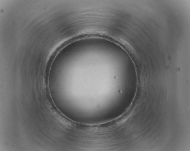 X0000076420880200610202217