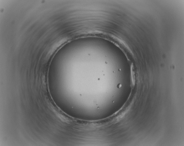 X0000076420881200610202217