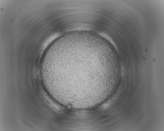 X0000076420882200610202217