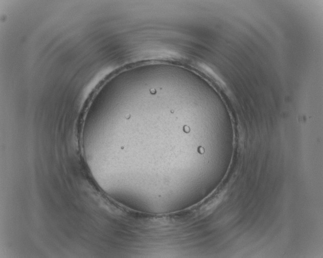 X0000076420883200610202217