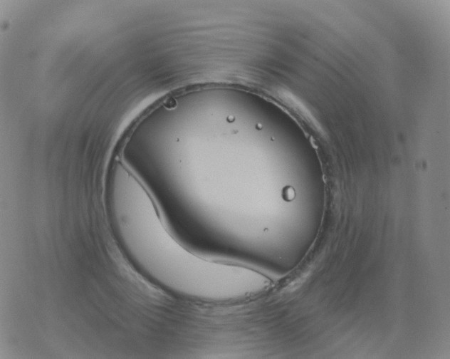 X0000076420884200610202217