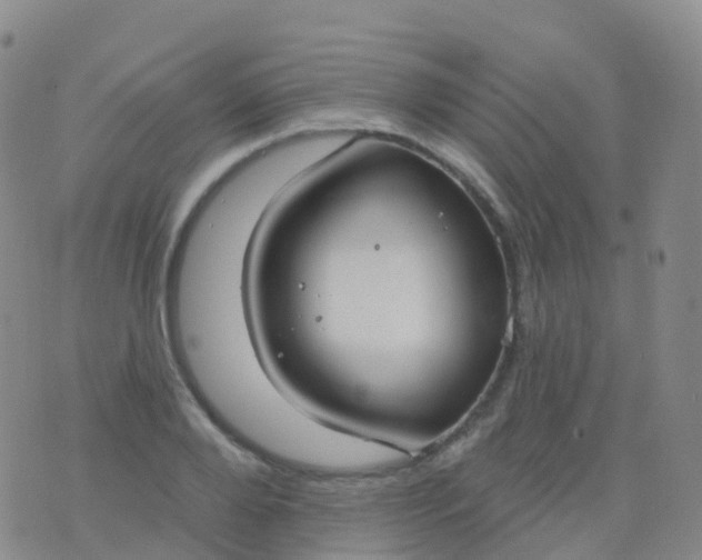 X0000076420888200610202217