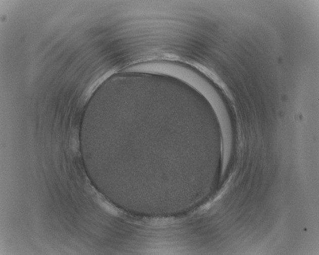 X0000076420889200610202217