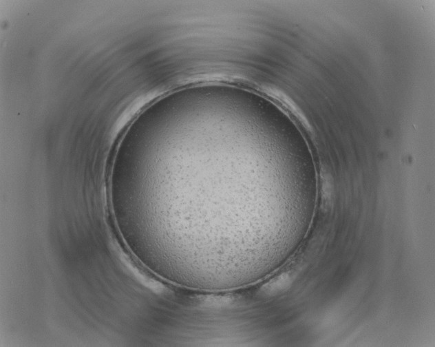 X0000076420890200610202217