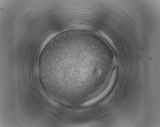 X0000076420891200610202217