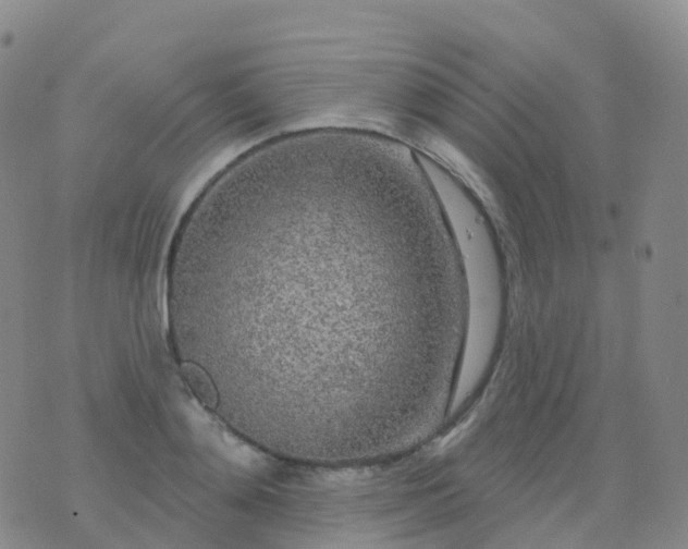 X0000076420892200610202217