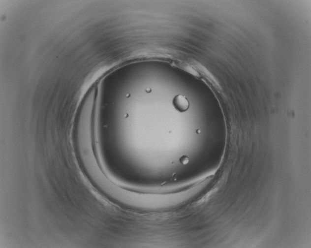 X0000076420893200610202217