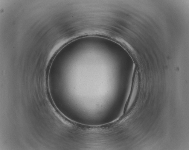 X0000076420894200610202217