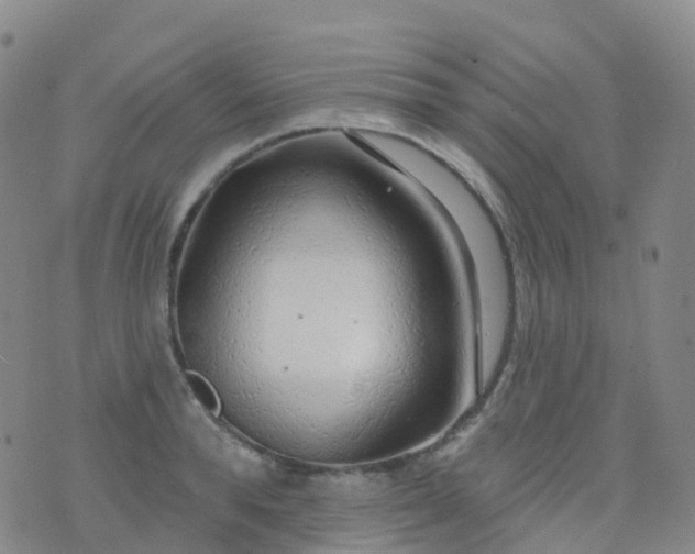 X0000076420896200610202217