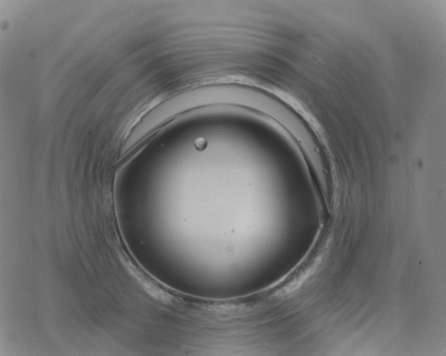 X0000076420897200610202217