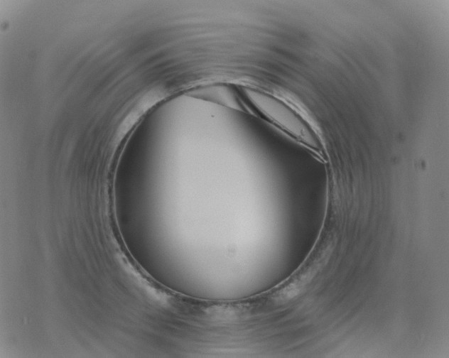 X0000076420898200610202217