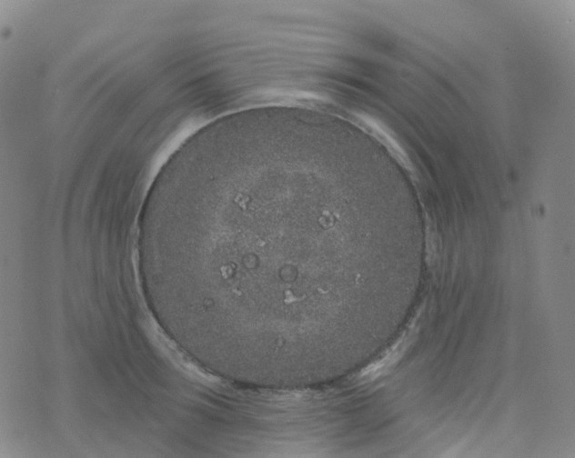 X0000076420899200610202217