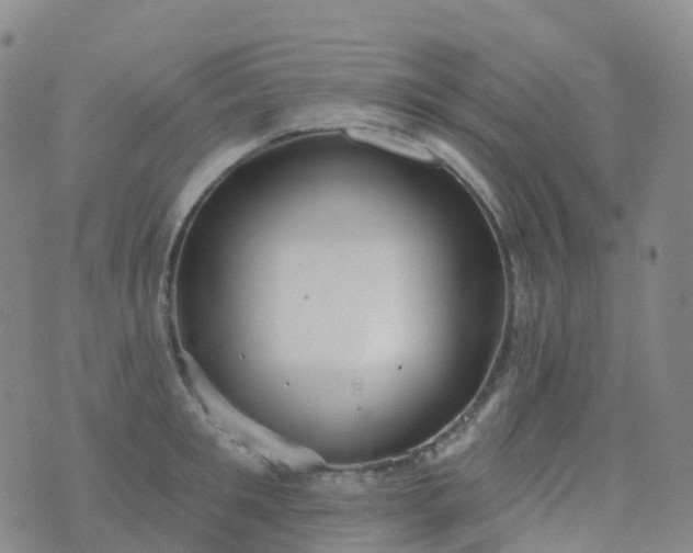 X0000076420901200610202217