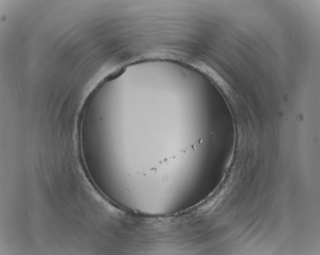 X0000076420902200610202217