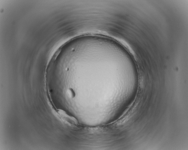 X0000076420903200610202217