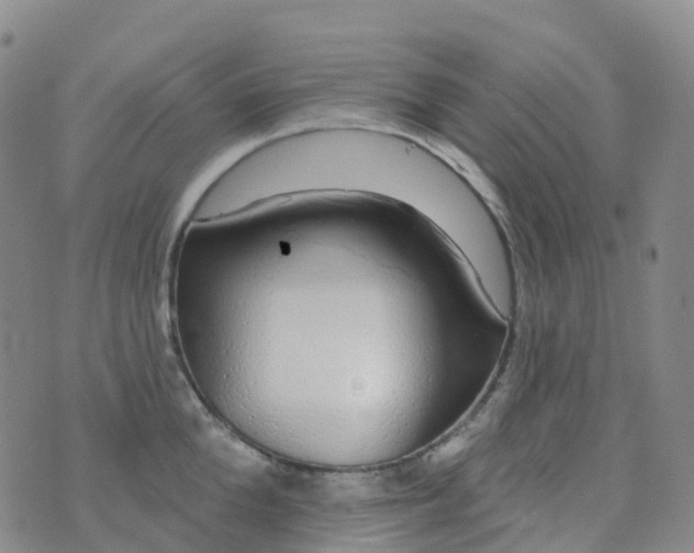 X0000076420904200610202217