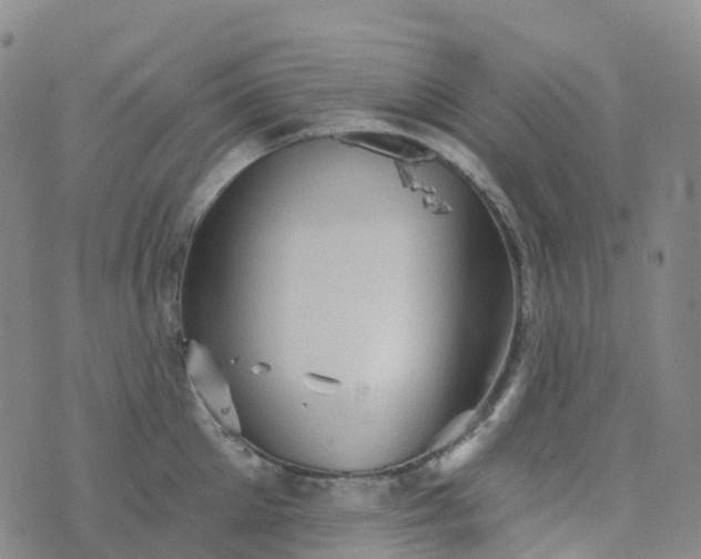 X0000076420905200610202217