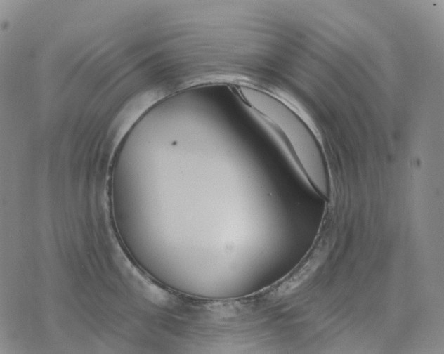 X0000076420906200610202217