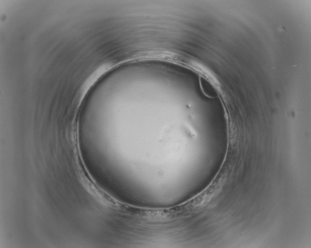 X0000076420907200610202217