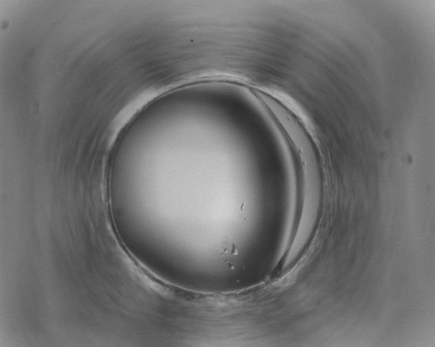 X0000076420910200610202217