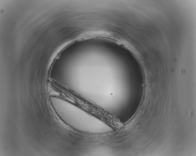 X0000076420912200610202217