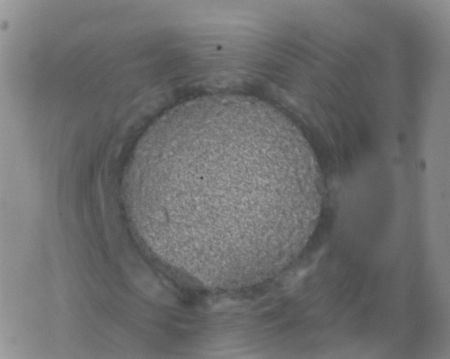 X0000076420913200610202216