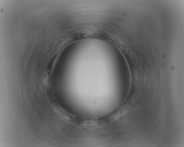 X0000076420914200610202216