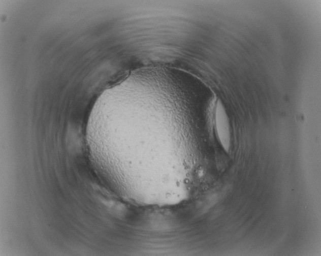 X0000076420915200610202216