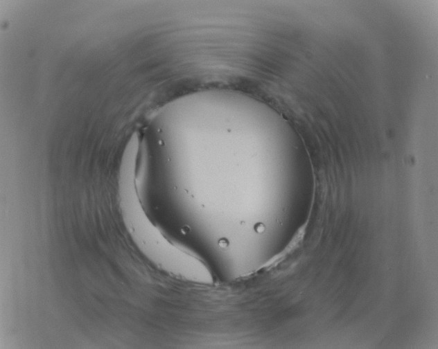 X0000076420916200610202216