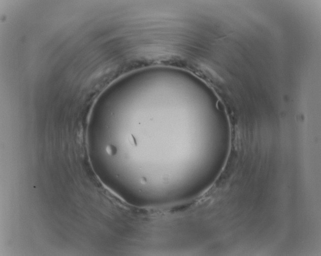 X0000076420917200610202216