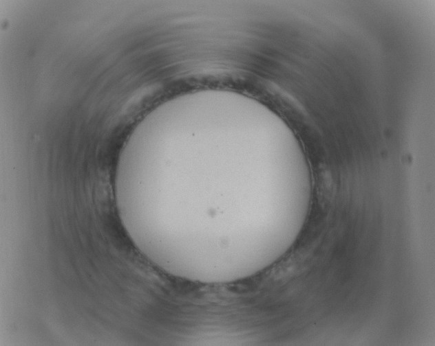 X0000076420918200610202216