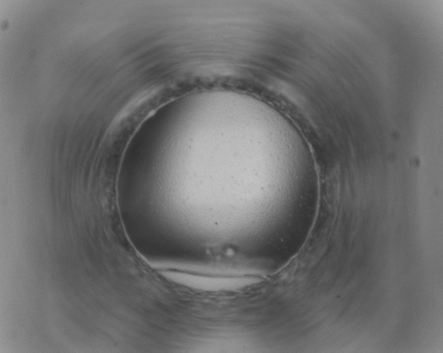 X0000076420919200610202216