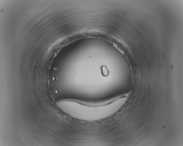 X0000076420920200610202216