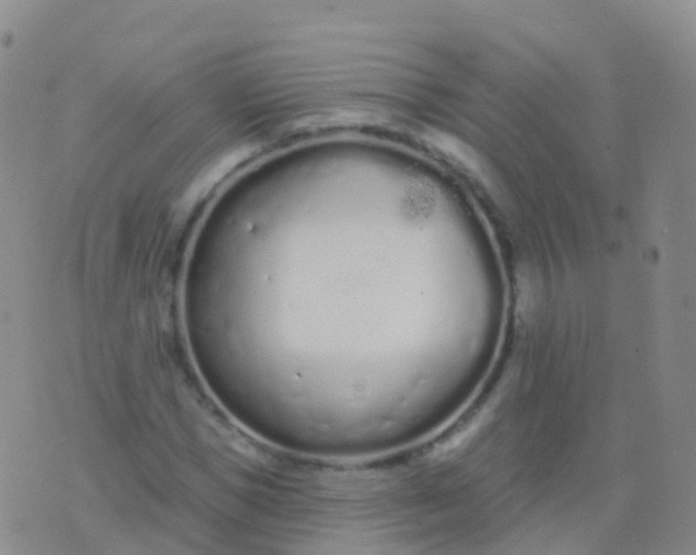 X0000076420921200610202216