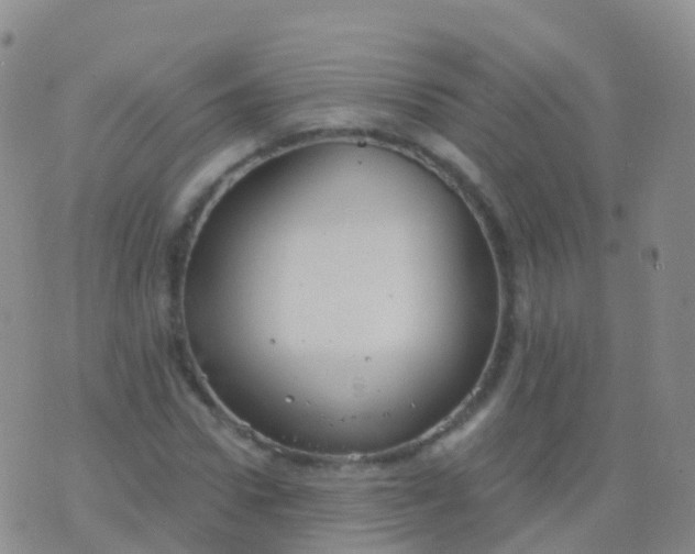 X0000076420922200610202216