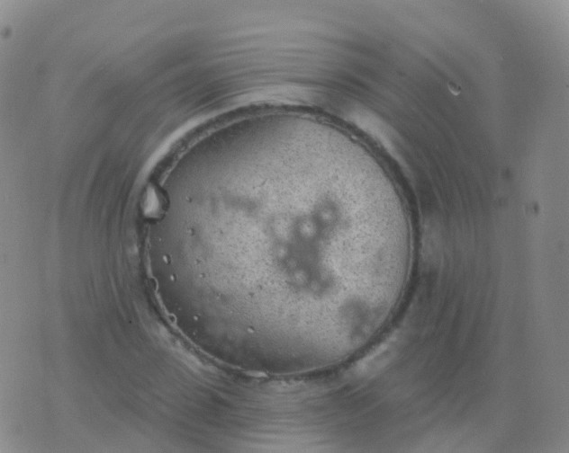 X0000076420923200610202216