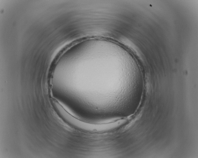 X0000076420924200610202216