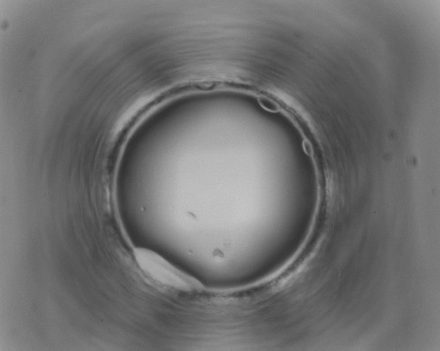 X0000076420925200610202216