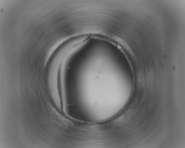 X0000076420926200610202216