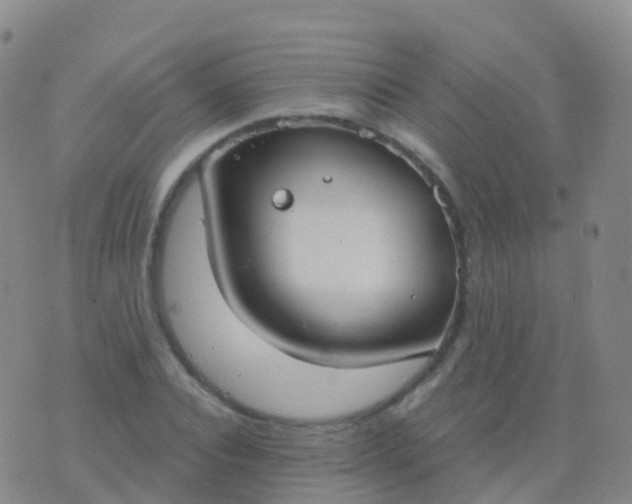 X0000076420928200610202216