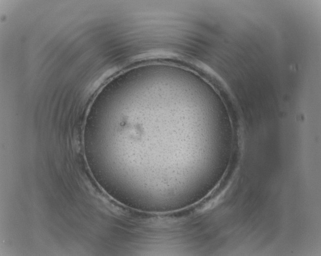 X0000076420929200610202216