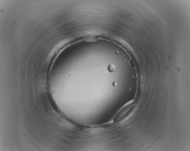 X0000076420930200610202216