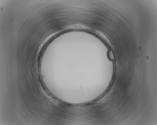 X0000076420931200610202216